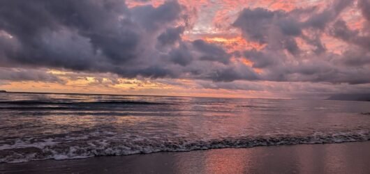 How Sleep, Stress, and Nutrition Interact on the Road