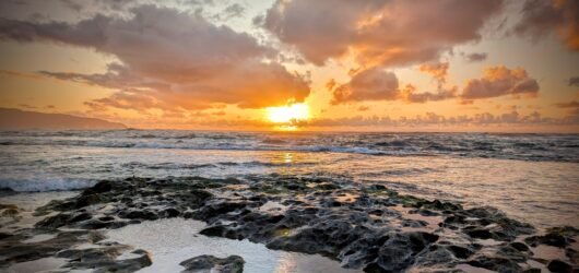 Year-Ahead Planning: Creating Your Personal Travel Wellness Checklist