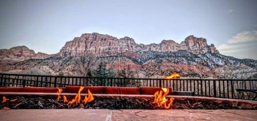 Travel Wellness and Immune Support: Staying Well on the Road